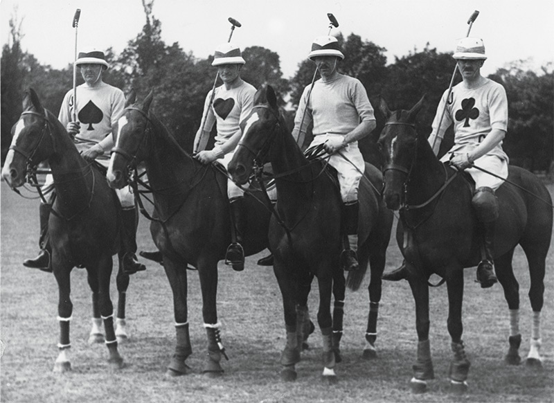mdivanipolo